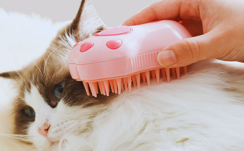 Brosse à vapeur pour chat